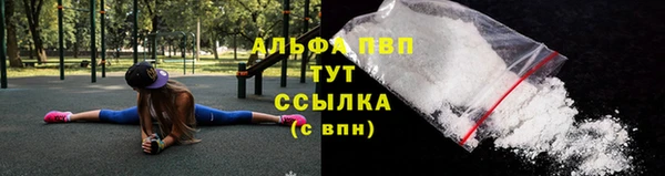 СК Елабуга