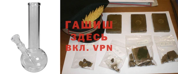 шишки Елизово