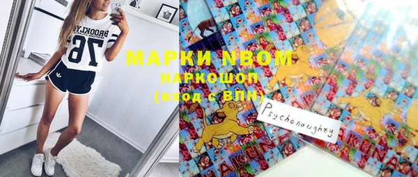 шишки Елизово