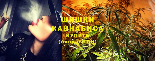 шишки Елизово