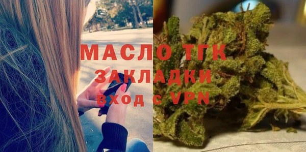 шишки Елизово