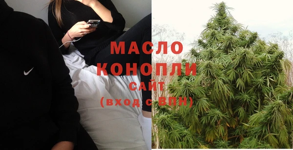 шишки Елизово