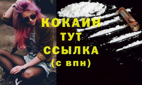 метадон Ельня