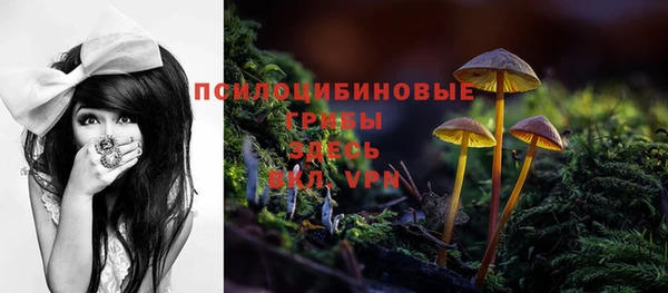 СК Елабуга