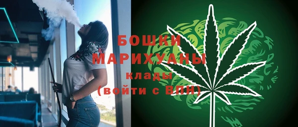 метадон Ельня